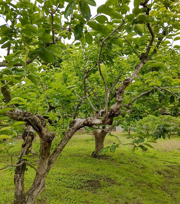 _c0033636_23211960.jpg