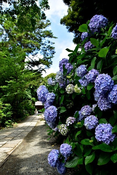 _c0067529_15382449.jpg