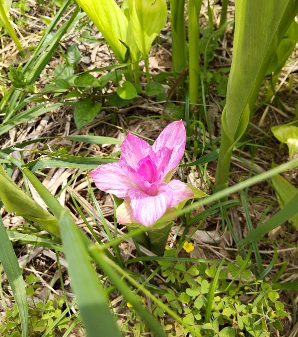 _c0033636_09570140.jpg