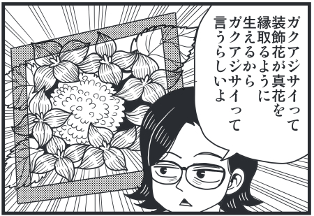 yҒŔzY Y斟^ q123Nځyq錾z ->摜>86 