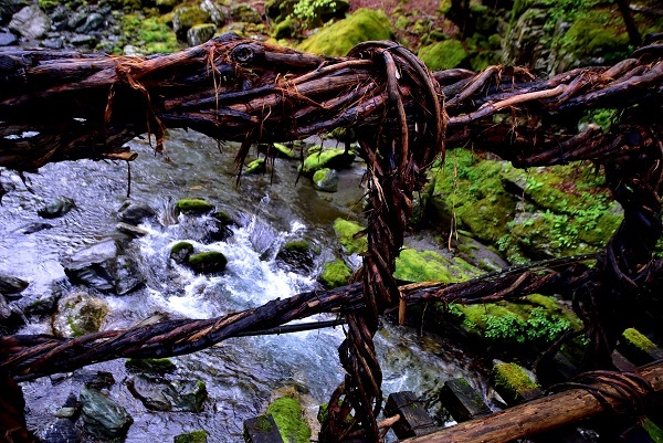 _c0067529_16013877.jpg