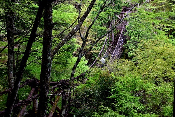_c0067529_16015682.jpg