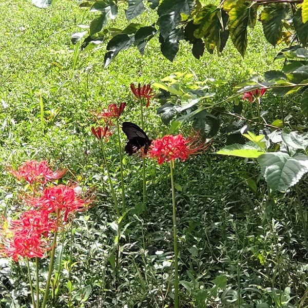 _c0033636_23382046.jpg