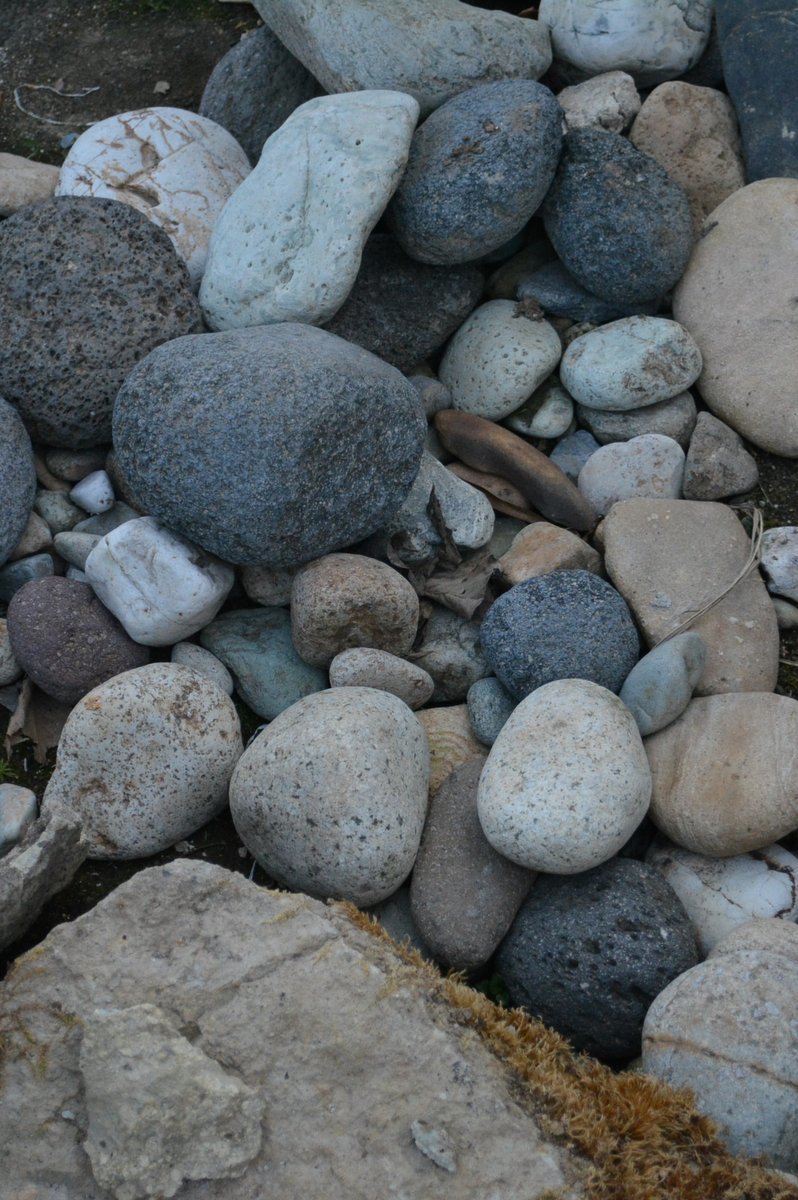 _d0087761_13411127.jpg