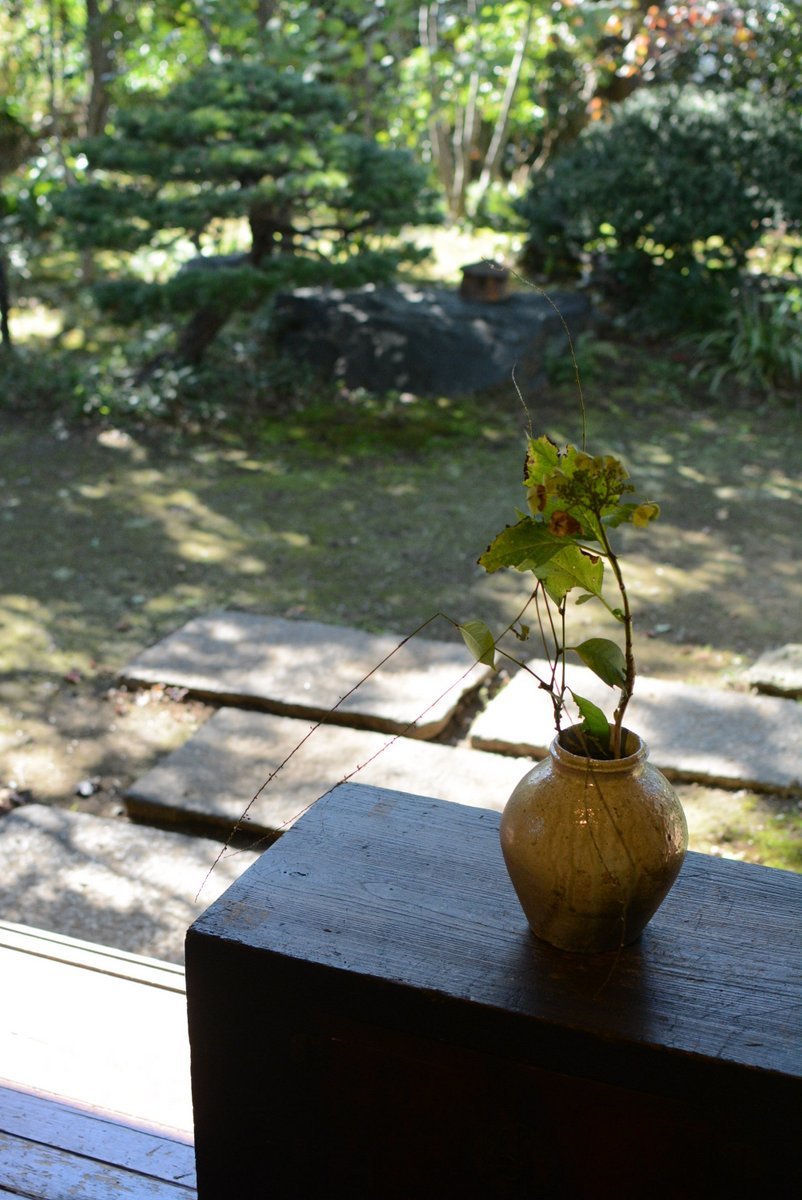 _d0087761_17162140.jpg