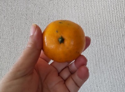_c0033636_22053191.jpg