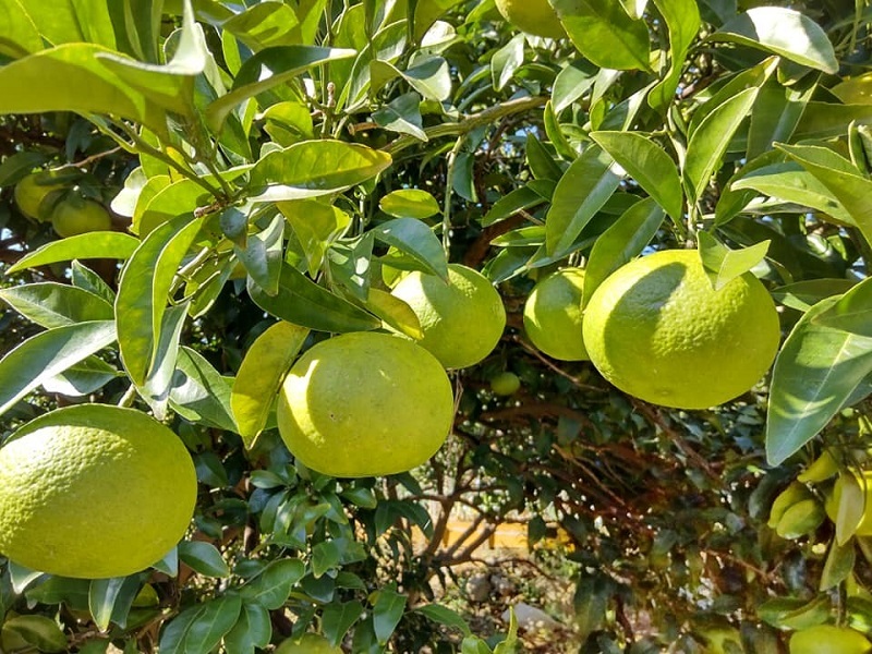 _c0033636_14495866.jpg