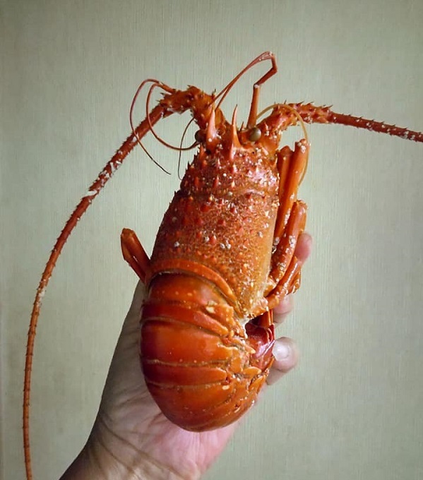 _c0033636_14505724.jpg