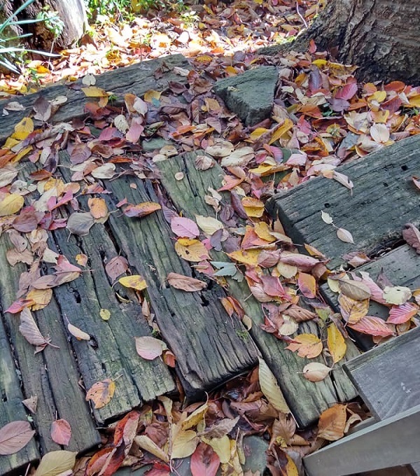 _c0033636_10241414.jpg