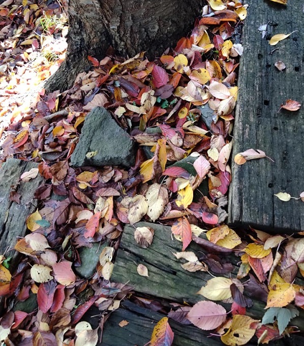_c0033636_10243631.jpg