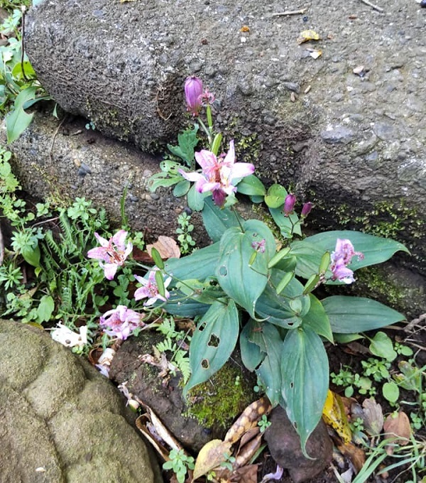 _c0033636_10291284.jpg