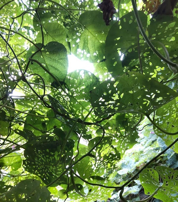 _c0033636_10293792.jpg