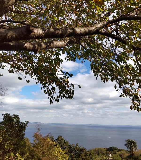 _c0033636_10312347.jpg