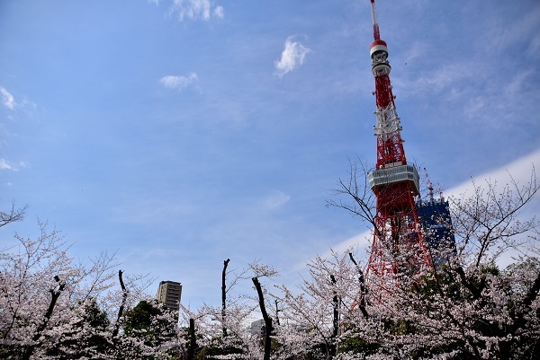 _c0067529_14372236.jpg