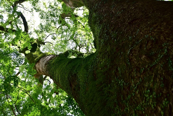 _c0067529_13482181.jpg
