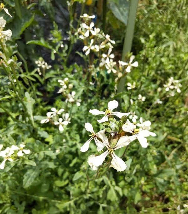 _c0033636_20510151.jpg