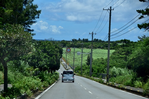 _c0067529_14012672.jpg