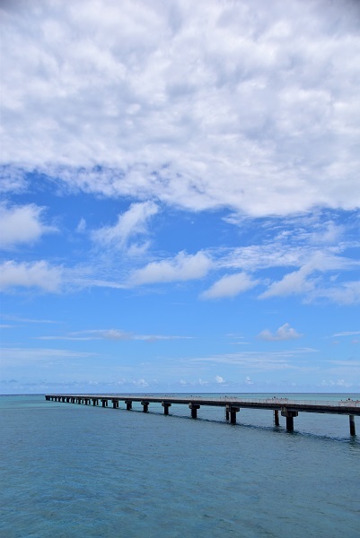 _c0067529_16463580.jpg
