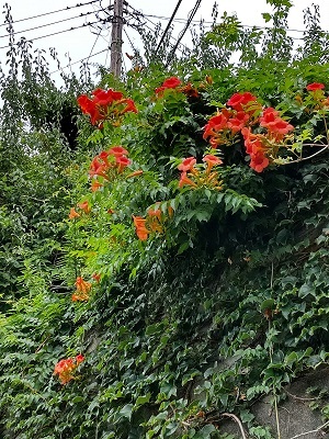 _c0033636_16093438.jpg