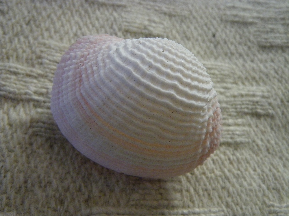 _c0033636_22550265.jpg