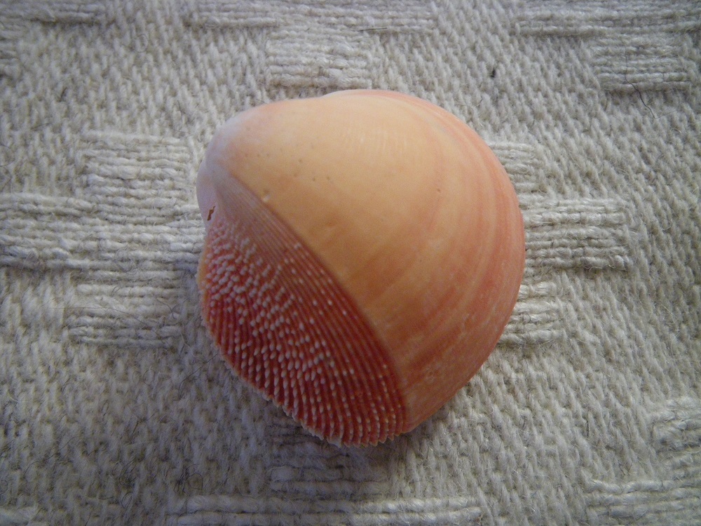 _c0033636_22560789.jpg