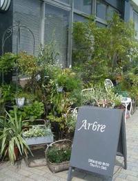 ギネス記録の 56葉クローバー Zakka Cafe Ecru ギネス記録の 56葉クローバー Zakka Cafe Ecru
