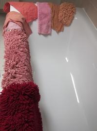 ドイツアニメ事情 フランクフルトのロッテンマイヤーより