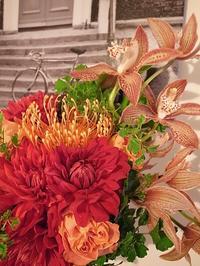 活け花の世界ではもうお正月 万年青を活ける お花に囲まれて 活け花の世界ではもうお正月 万年青を活ける お花に囲まれて