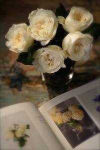 匂いのいい花束 Annexe