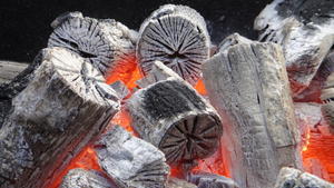 菊炭友の会　活動予定日と参加連絡 - 菊炭友の会