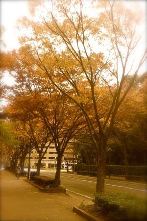 ヘアーデザイン＜エフ＞ご予約状況 - ヘアーデザイン＜エフ＞桜坂　HairDesignF