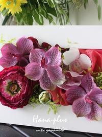 冬の花絵 作品展準備進んでます 花と Hana Plus