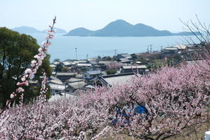 さよならをするために - 拾うたんじゃけえ！