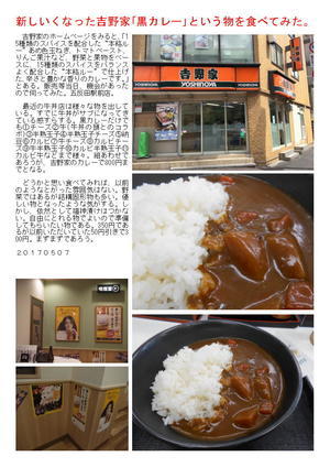 新しいくなった吉野家の｢黒カレー｣という物を食べてみた。