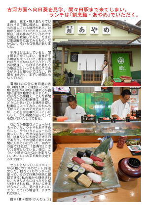 古河方面へ向日葵を見学、間々田駅まで来てしまい。ランチは｢割烹鮨・あやめ｣でいただく。