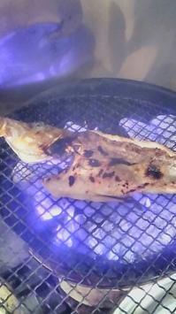ラビダ社の塩 フェンネルの花粉 と種 オレガノ三種 Tavola Calda Miyake