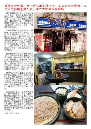 五反田で仕事、サービス券も使って、ミニカツ丼定食＋エビ天でお腹を満たす。