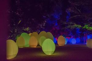 下鴨神社 糺の森の光の祭 Art by teamLab - 鏡花水月