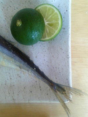 秋刀魚 - Strike while the iron is hot.
