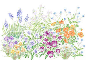 Spring Flowers - Kyoko Fukunaga Blog
