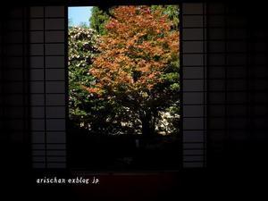 雲龍院２＠２０１８京都の紅葉 - アリスのトリップ