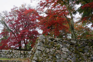 高取城跡紅葉 - katsuのヘタッピ風景