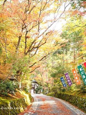 赤山禅院＠２０１８京都の紅葉 - アリスのトリップ