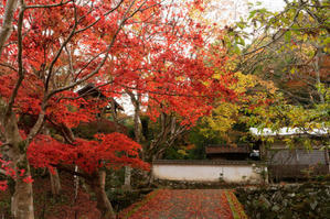 紅の山寺 - katsuのヘタッピ風景