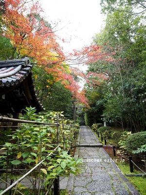金地院＠２０１８京都の紅葉 - アリスのトリップ