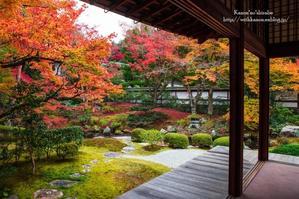 京都の秋 - ＊花音の調べ＊
