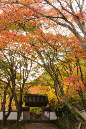 紅葉　～大威徳寺 - katsuのヘタッピ風景