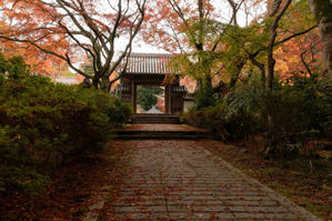 紅葉　～延命寺 - katsuのヘタッピ風景