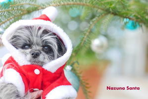 Merry Christmas from Nazuna Santa - ぶらり休暇