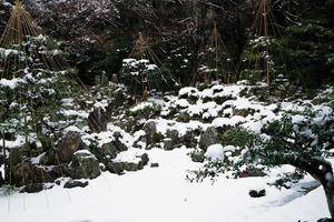 青岸寺の雪景色 - 鏡花水月